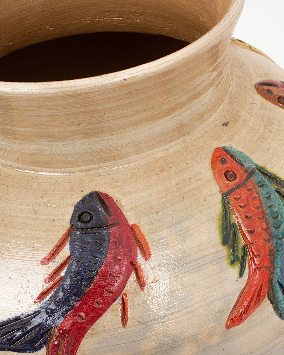 Peces Coloridos: Olla