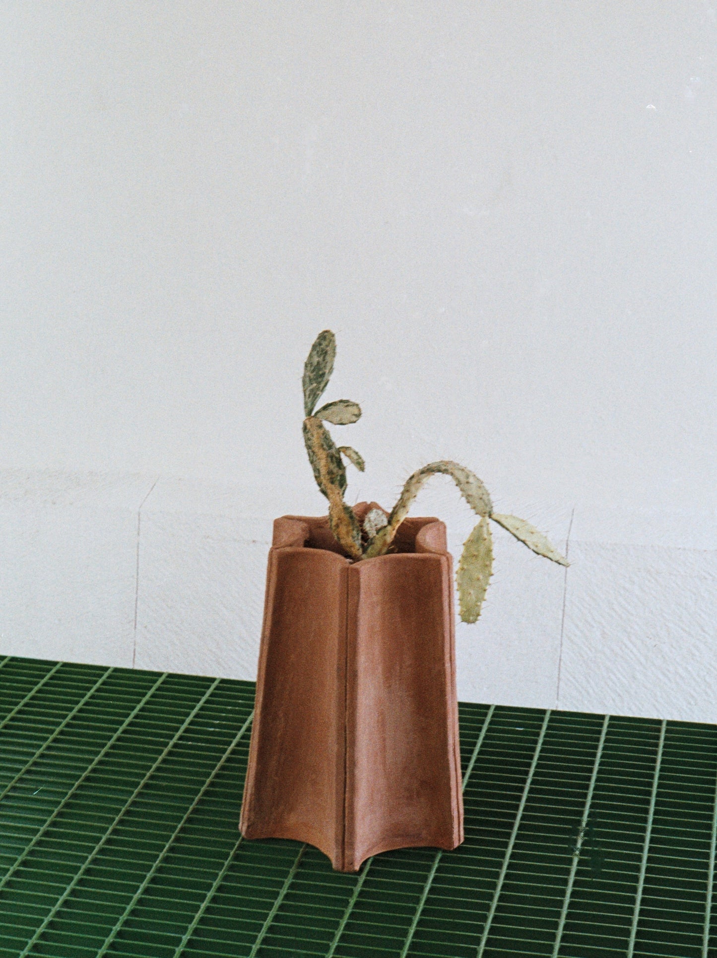 Piedrafuego: Costachica