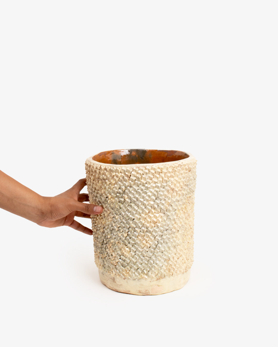 Pellizco 02: 20cm