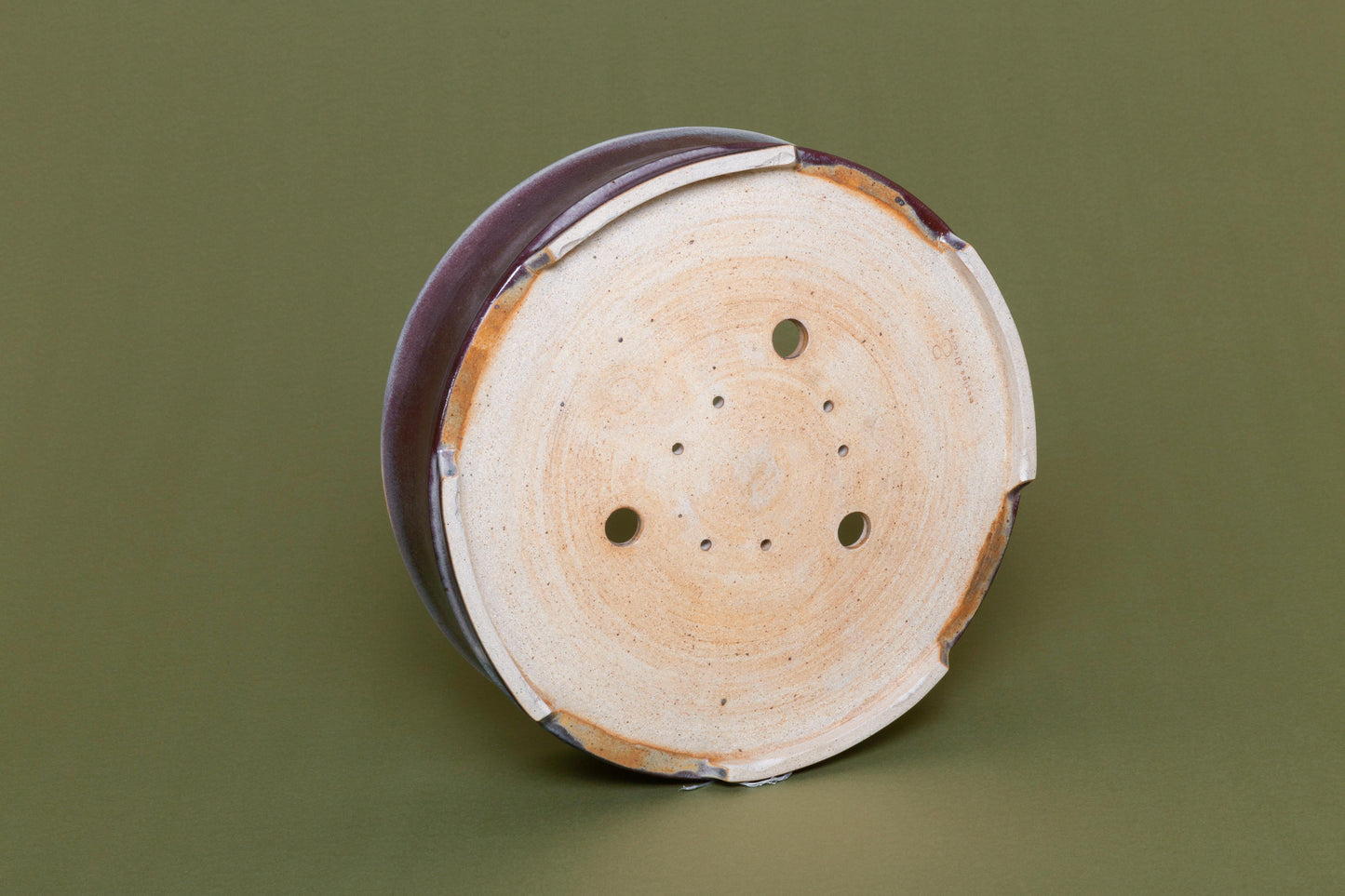 Natalia: Bonsayera #01