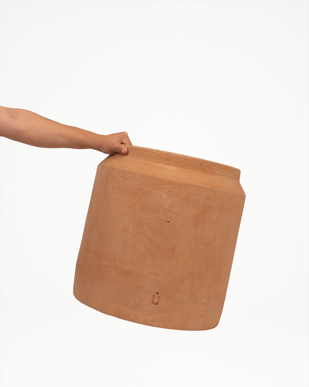 Cúmulo: Lechera 32cm
