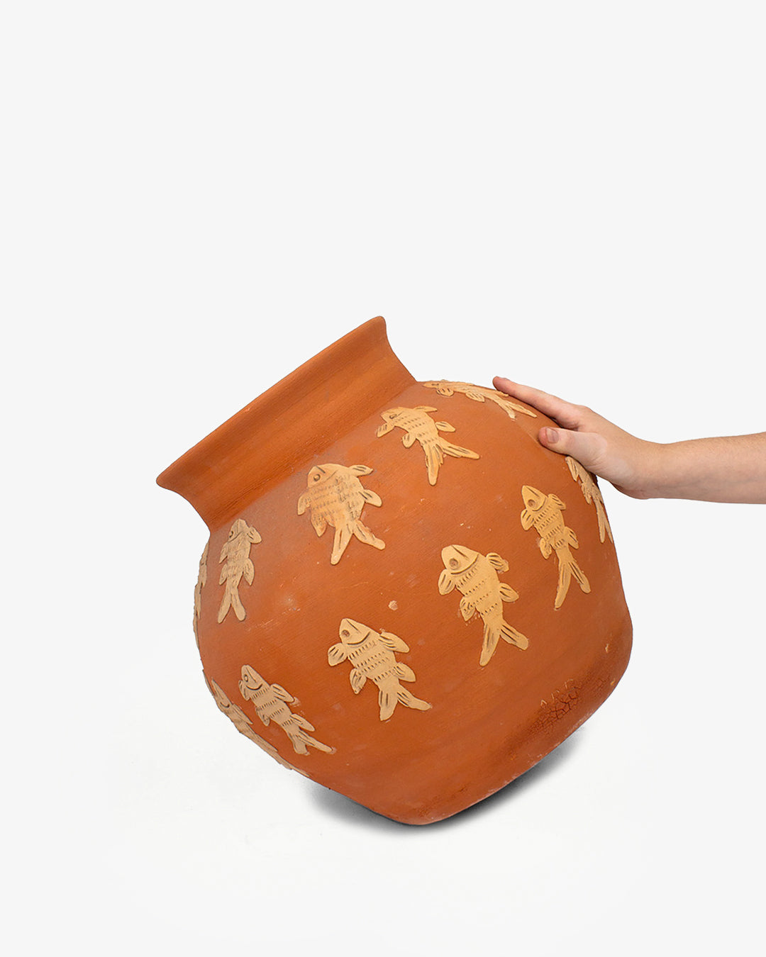 Peces Barro: Olla