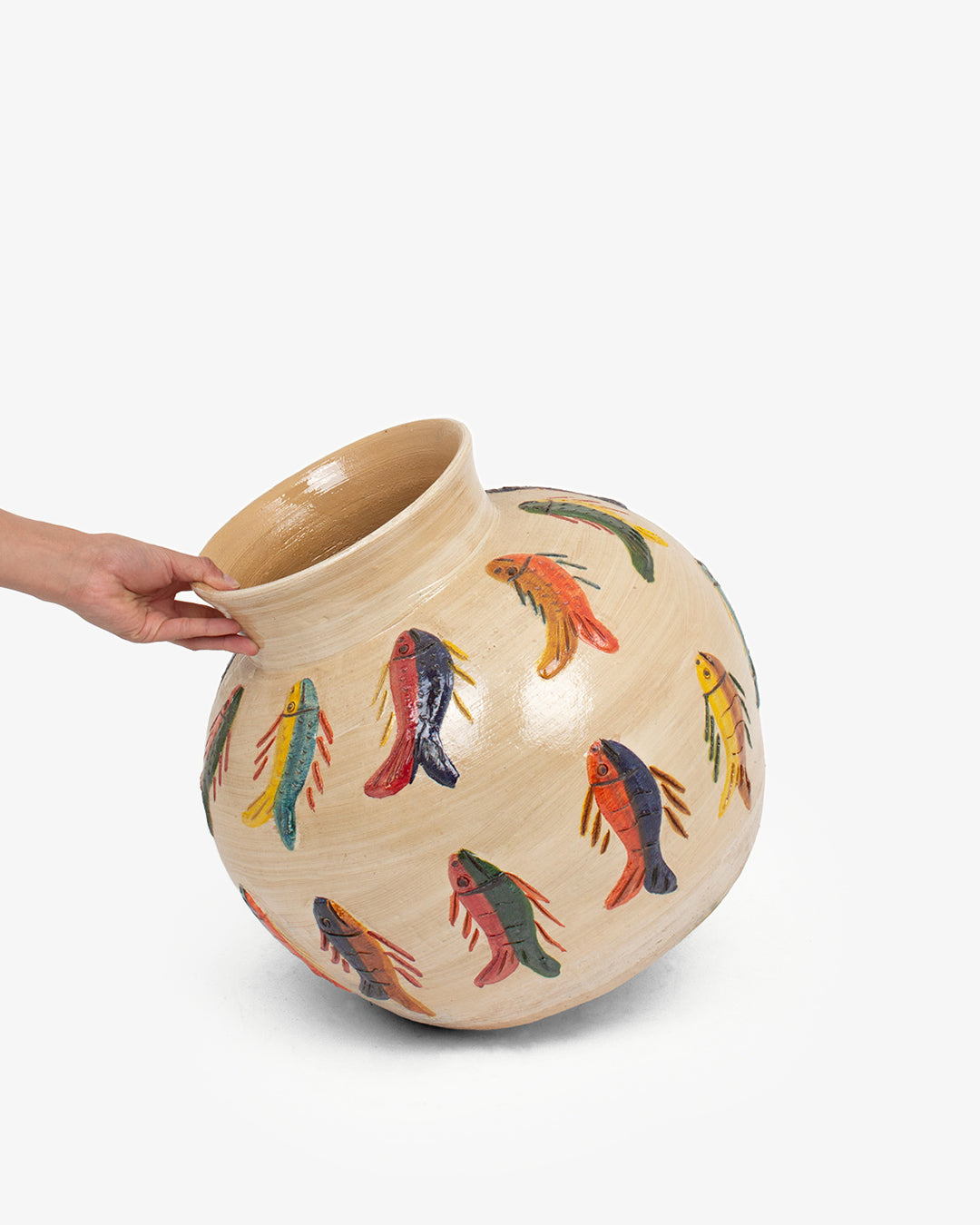Peces Coloridos: Olla