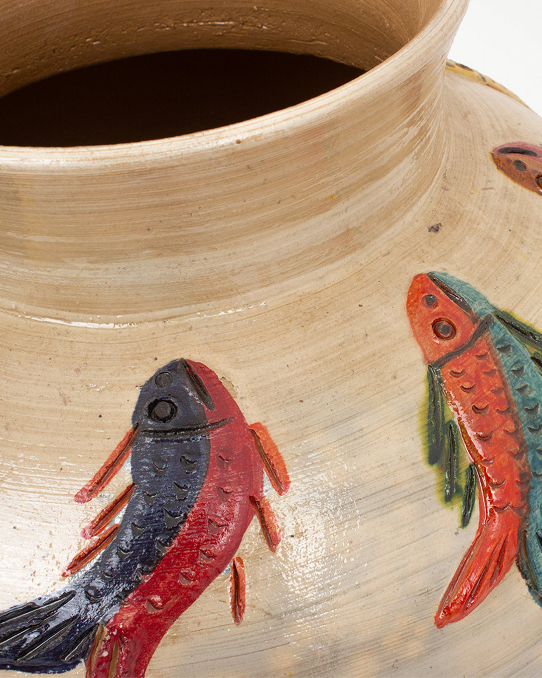 Peces Coloridos: Olla