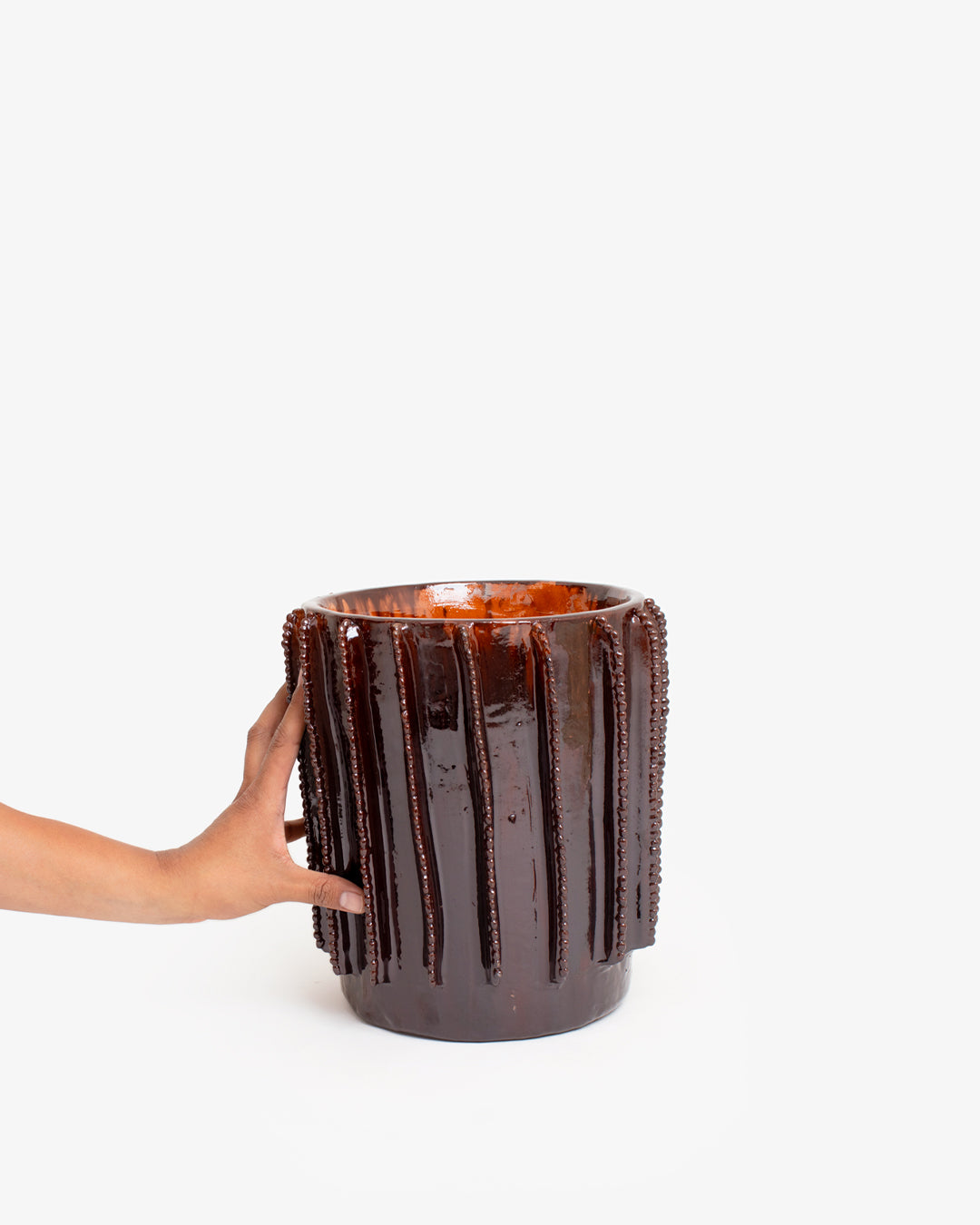 Biznaga 02: 20cm