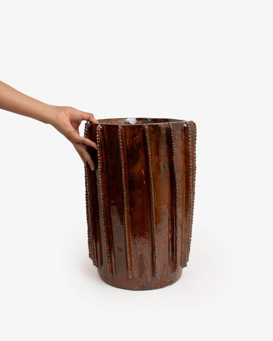 Biznaga 03: 25 cm