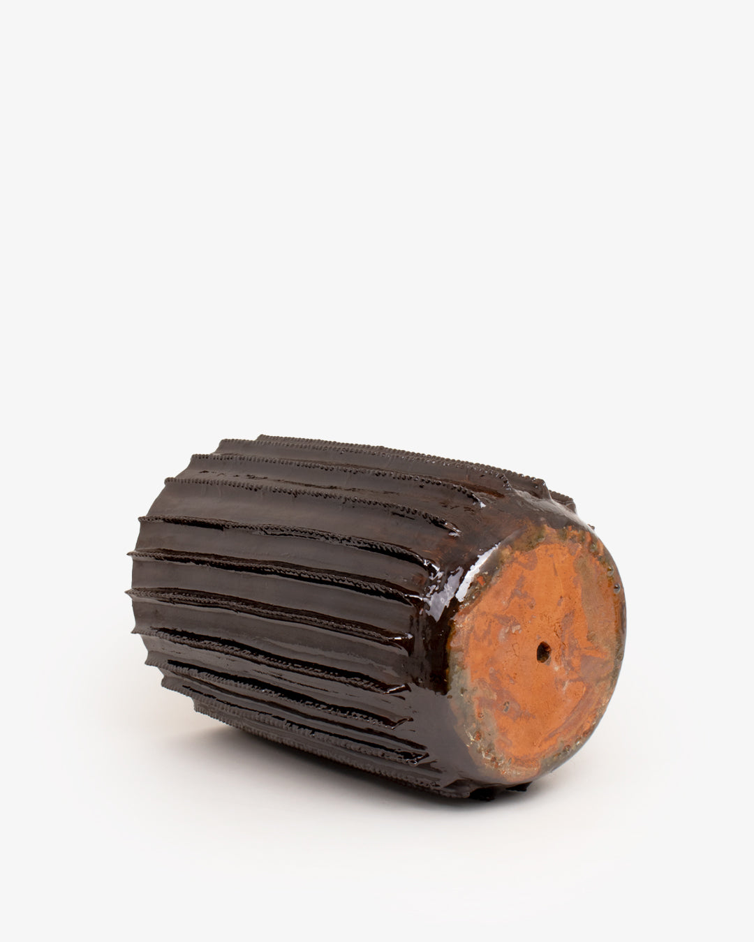Biznaga 04: 25 cm