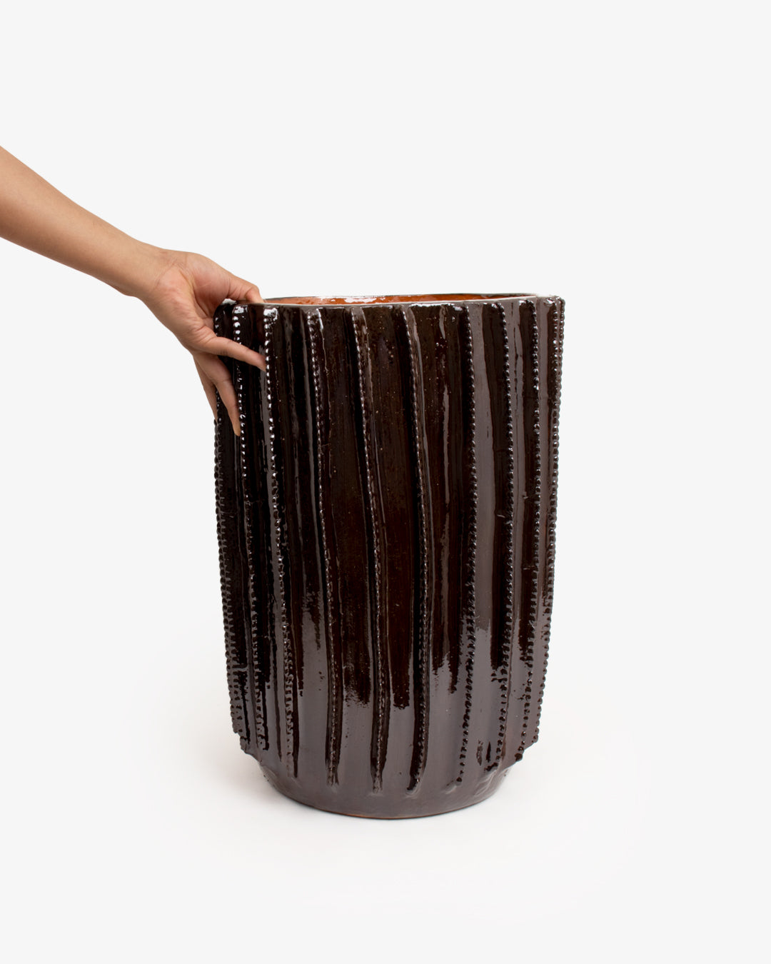 Biznaga 04: 25 cm