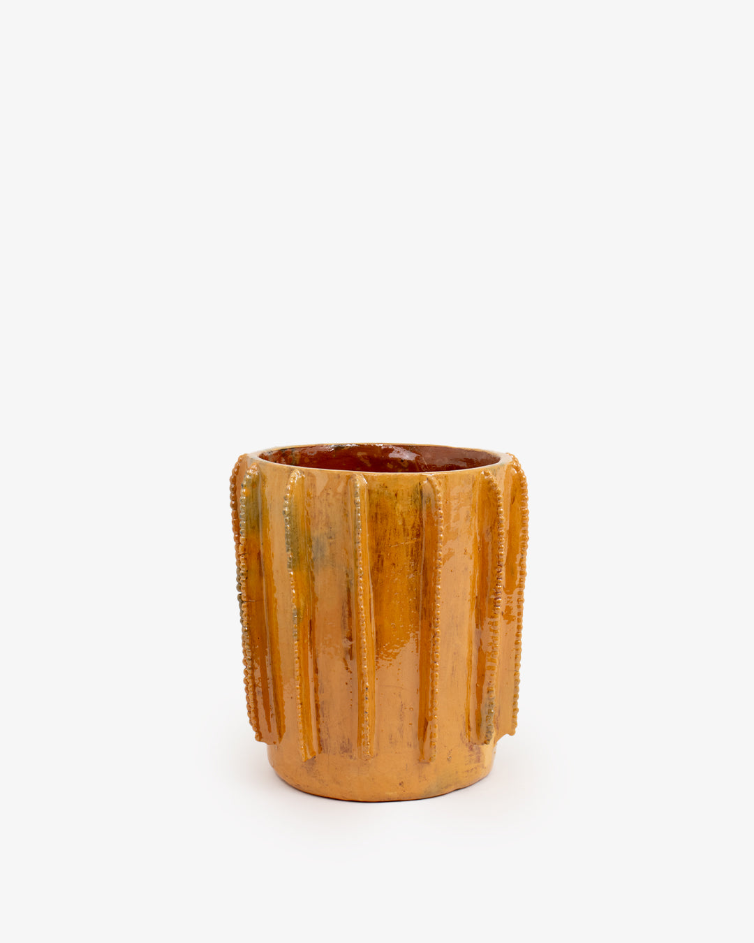 Biznaga 02: 20cm