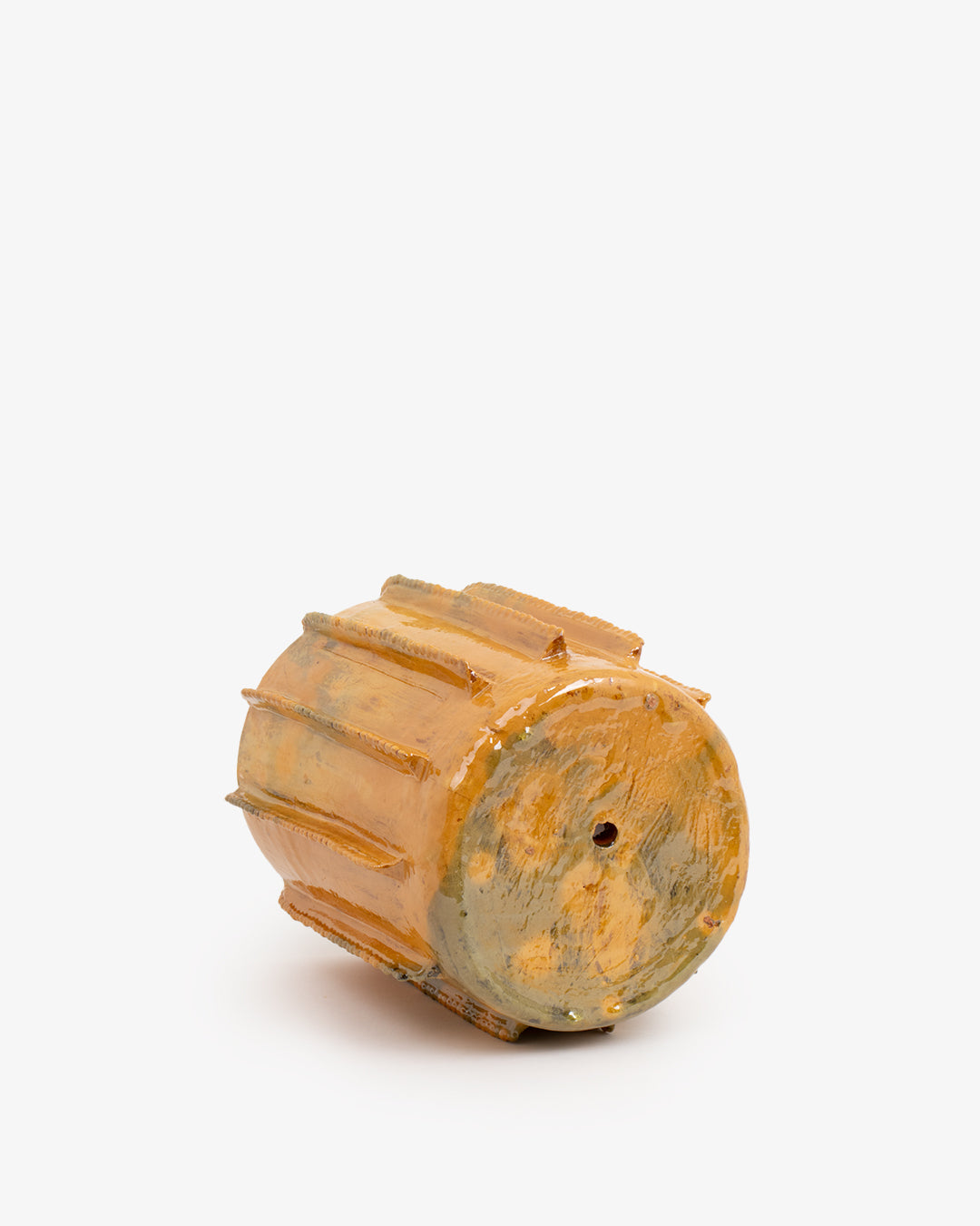Biznaga 02: 20cm