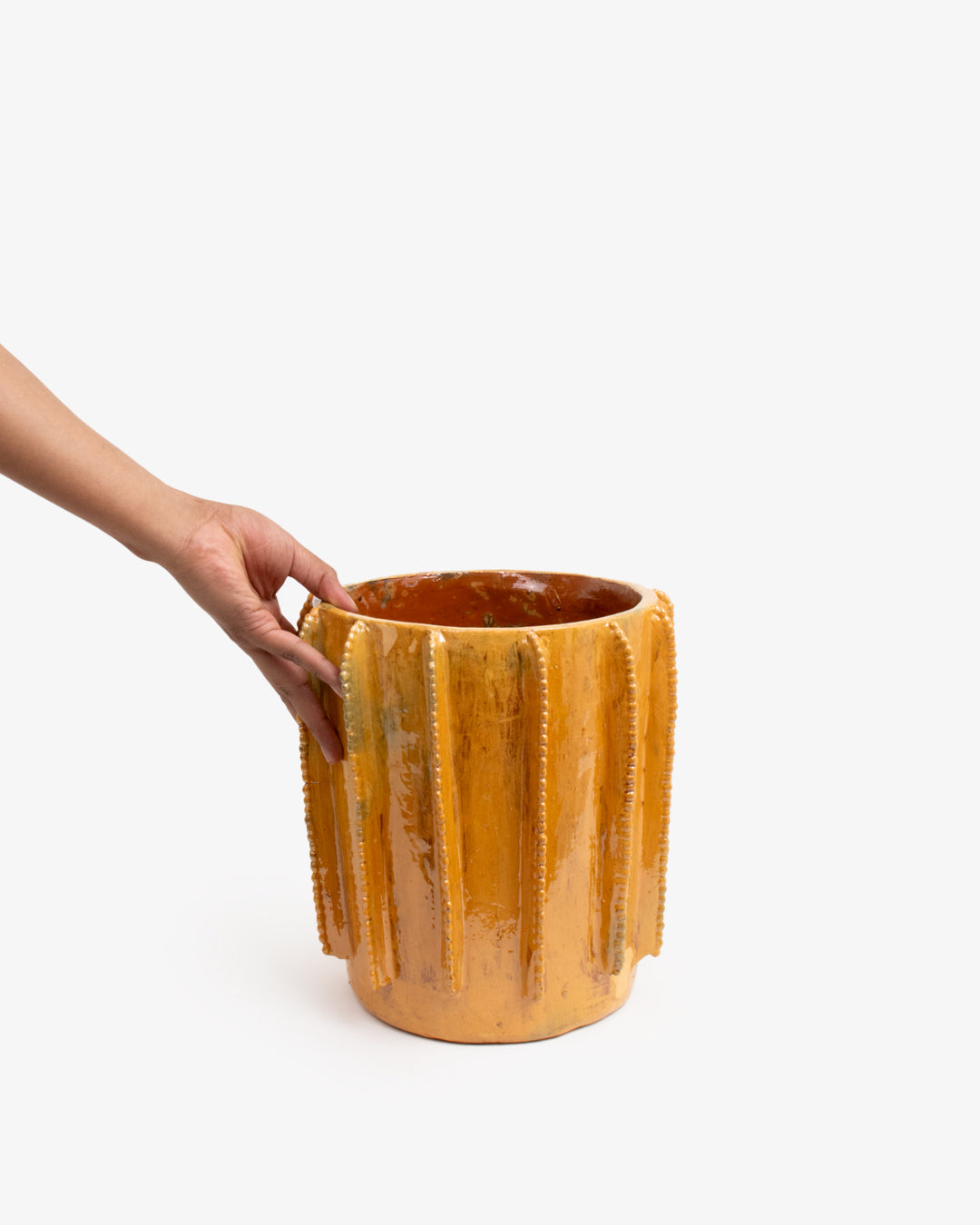 Biznaga 02: 20cm