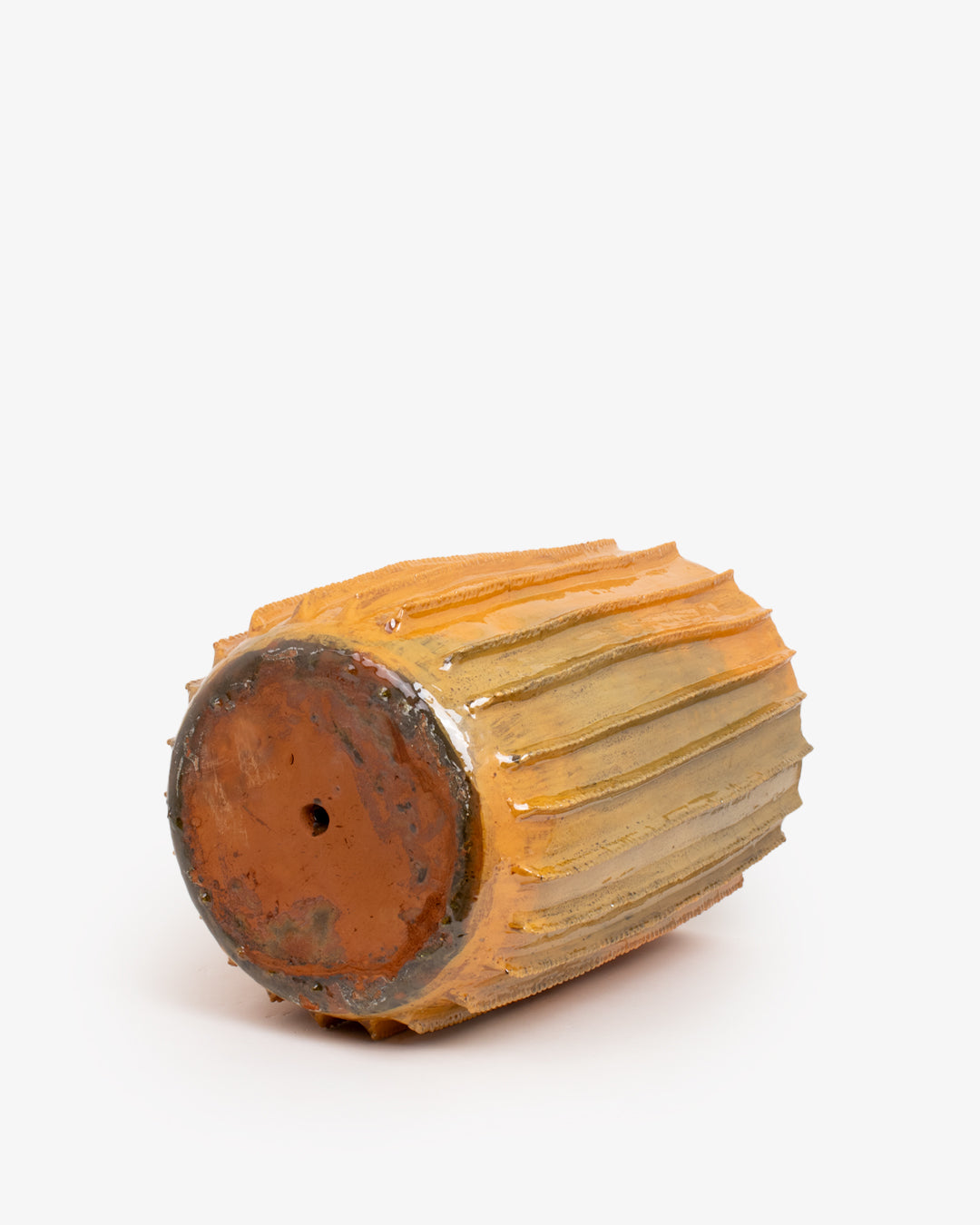 Biznaga 04: 25 cm