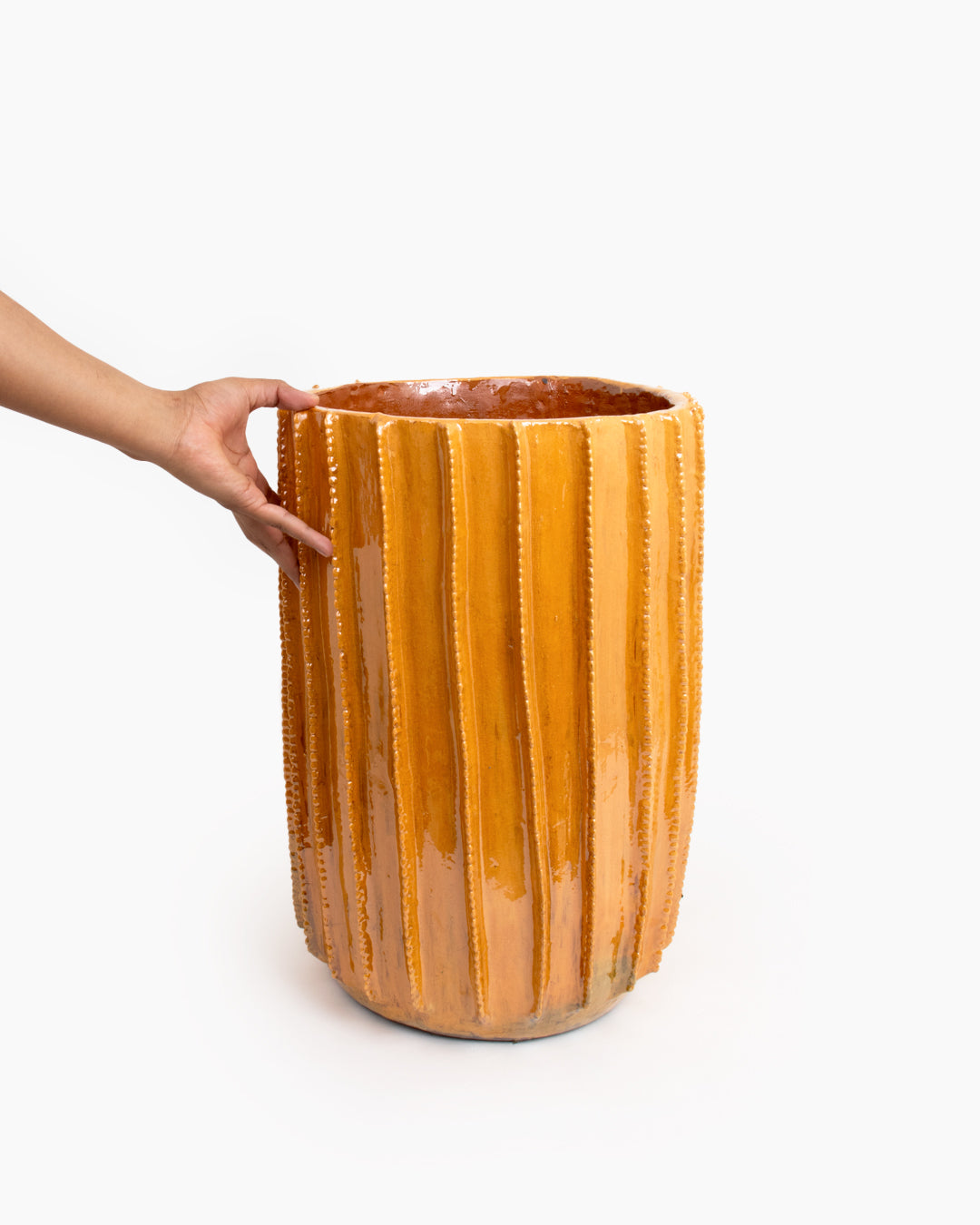 Biznaga 04: 25 cm
