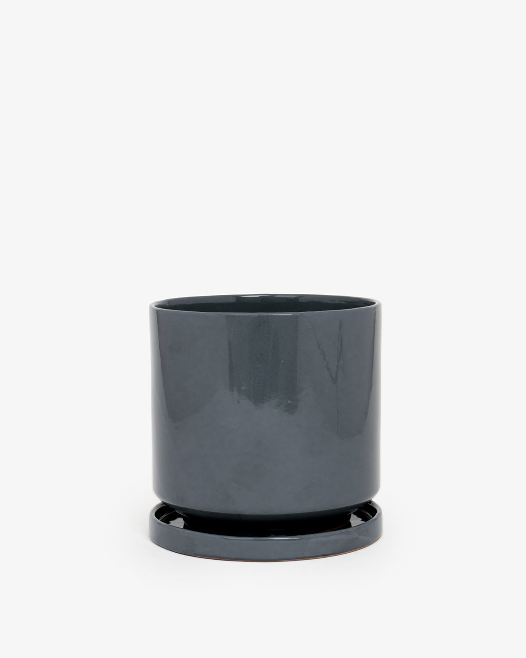Gris