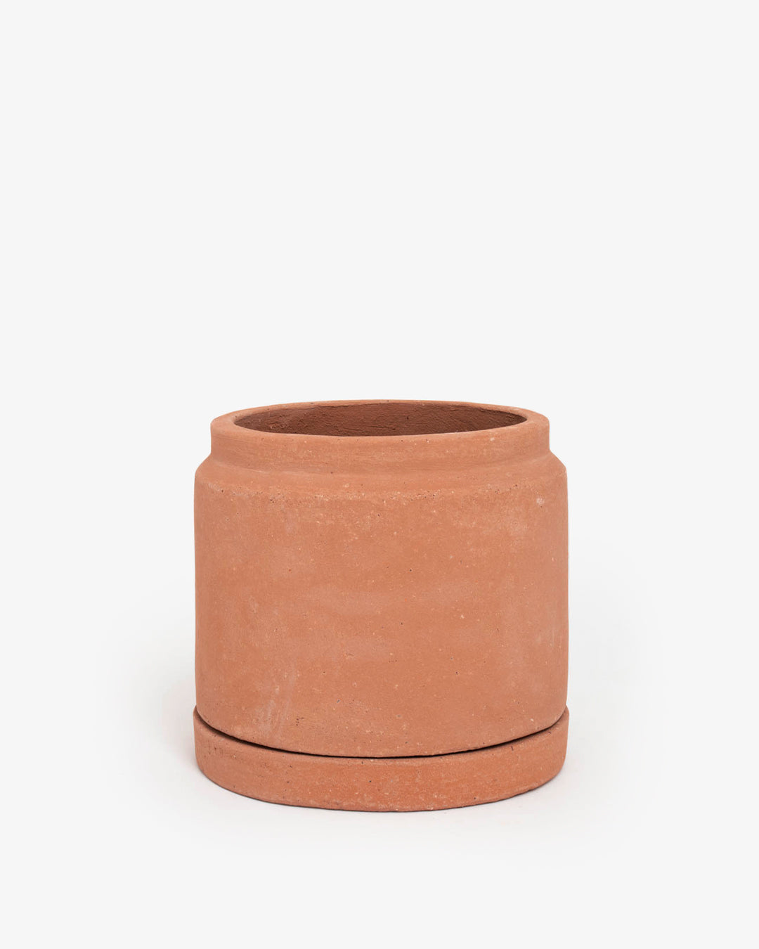 Cúmulo: Lechera 16cm