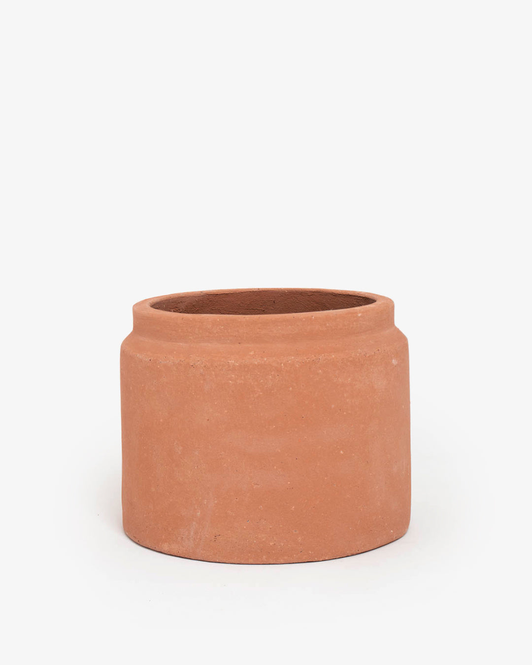 Cúmulo: Lechera 16cm