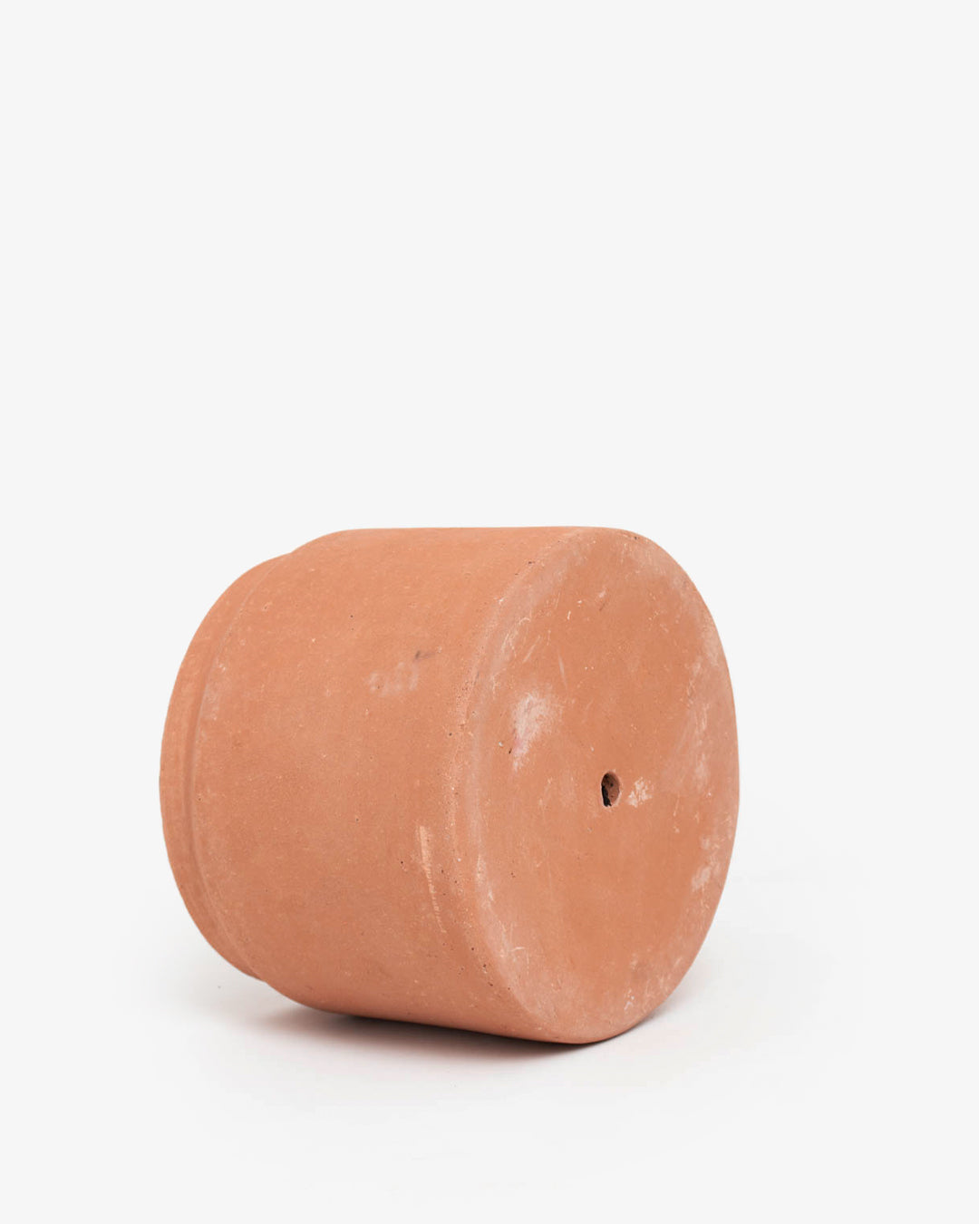 Cúmulo: Lechera 16cm