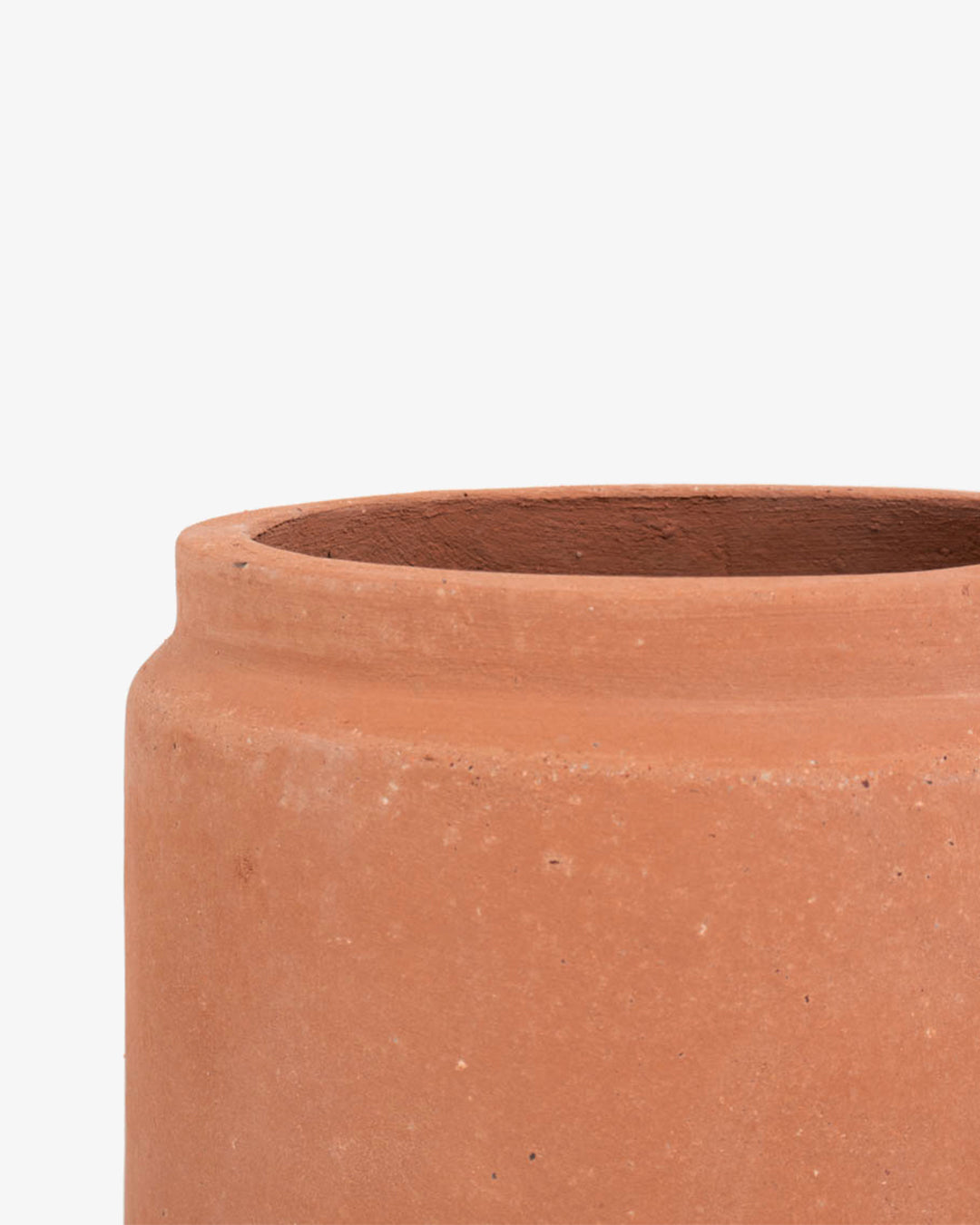 Cúmulo: Lechera 16cm