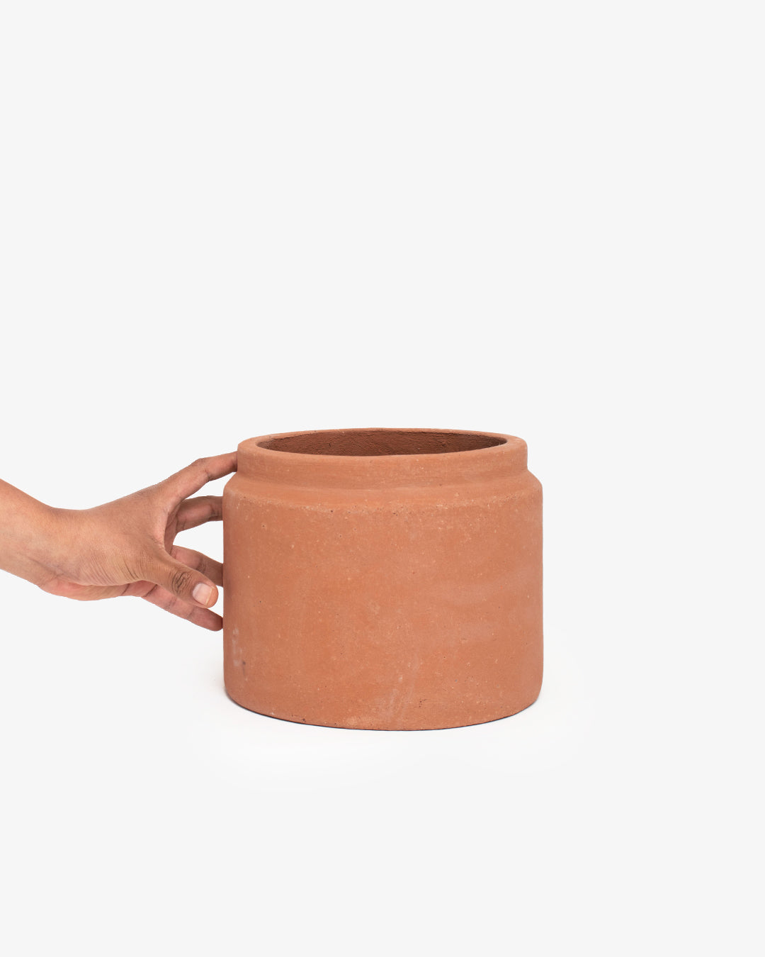 Cúmulo: Lechera 16cm