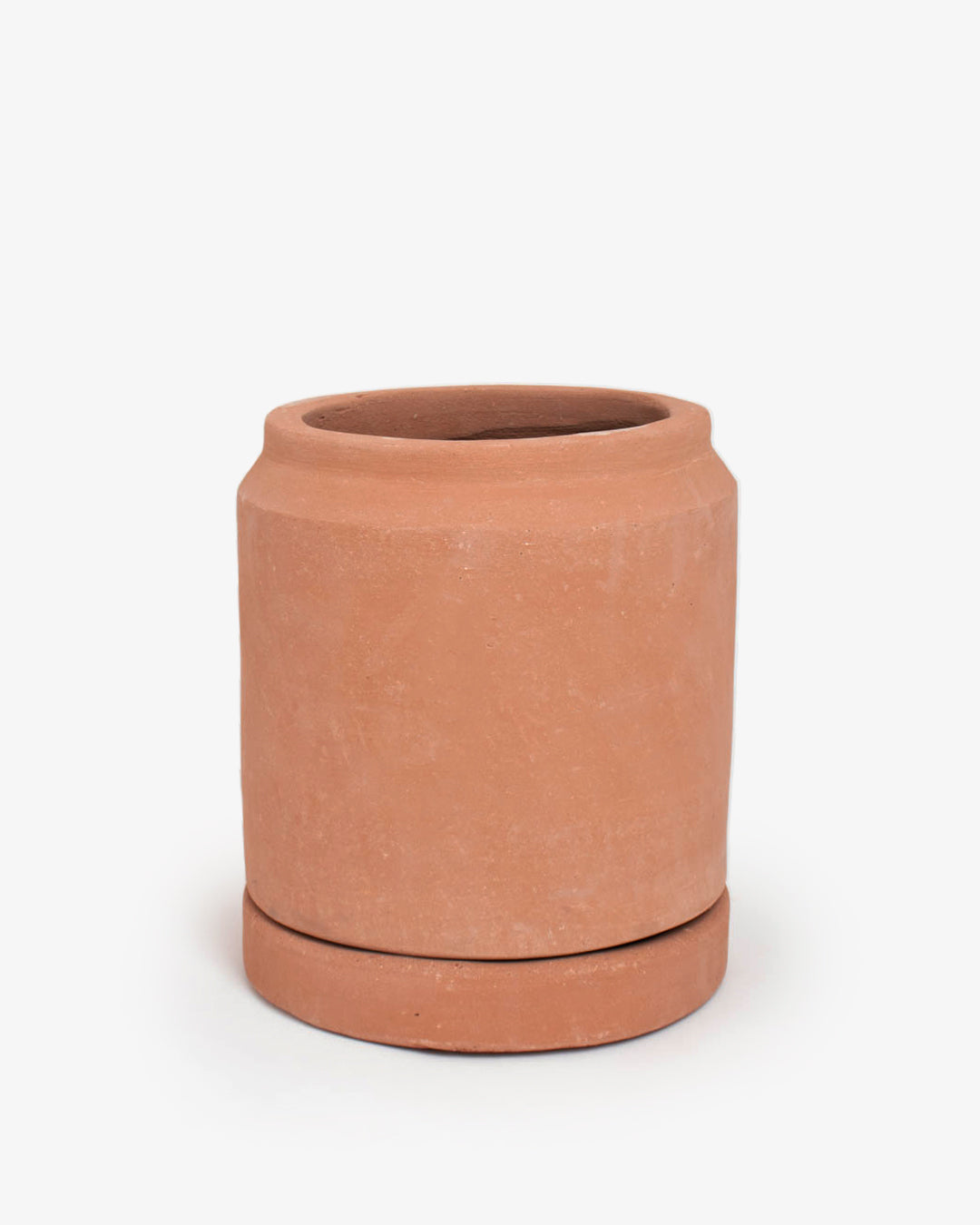 Cúmulo: Lechera 25cm