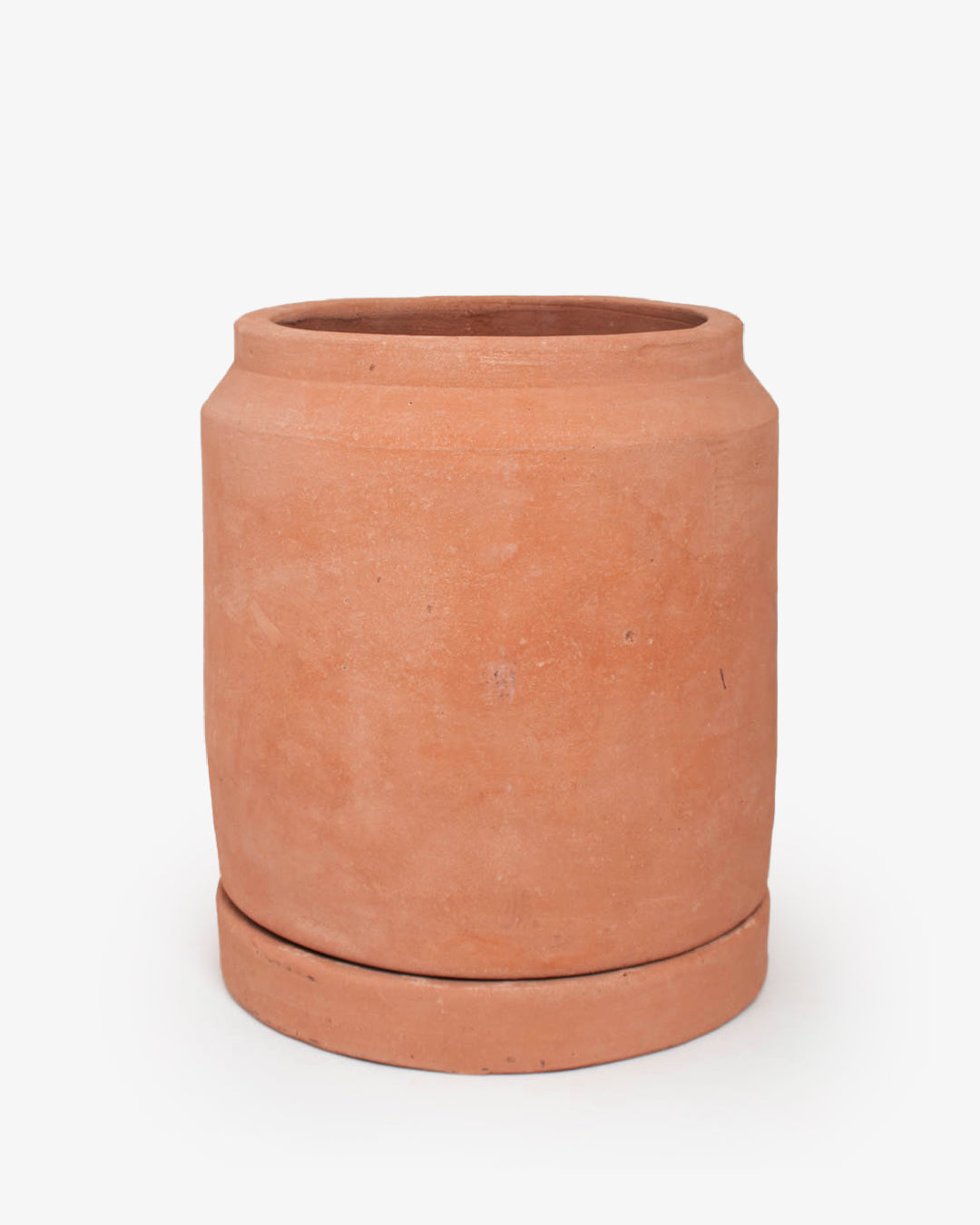 Cúmulo: Lechera 32cm