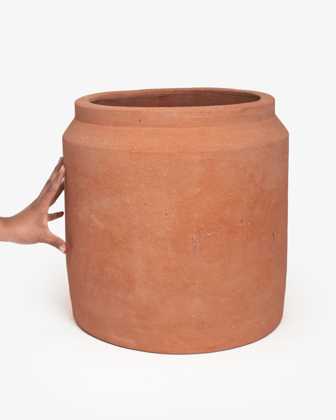 Cúmulo: Lechera 32cm