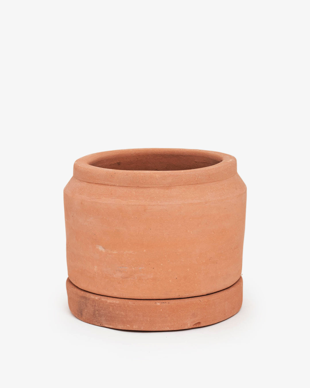 Cúmulo: Lechera Baja 25cm