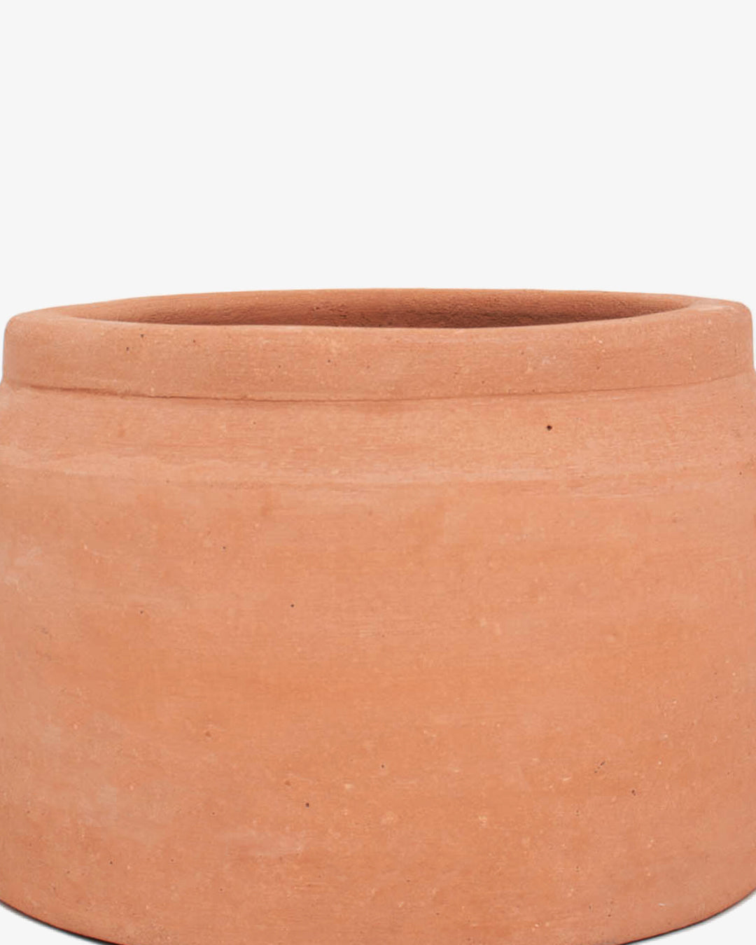 Cúmulo: Lechera Baja 25cm