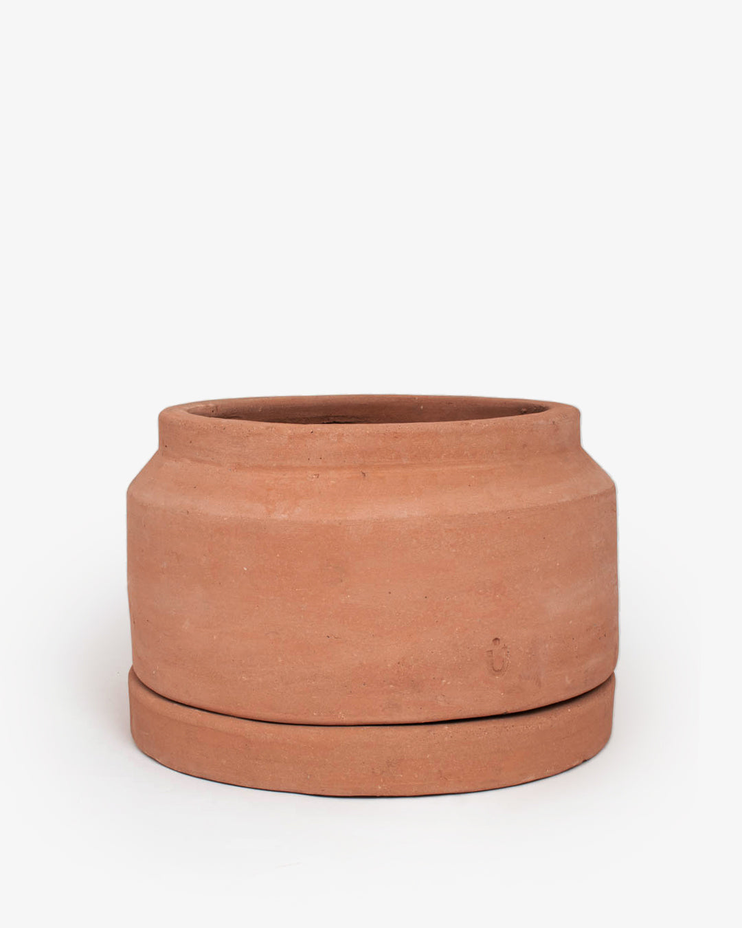 Cúmulo: Lechera Baja 35cm