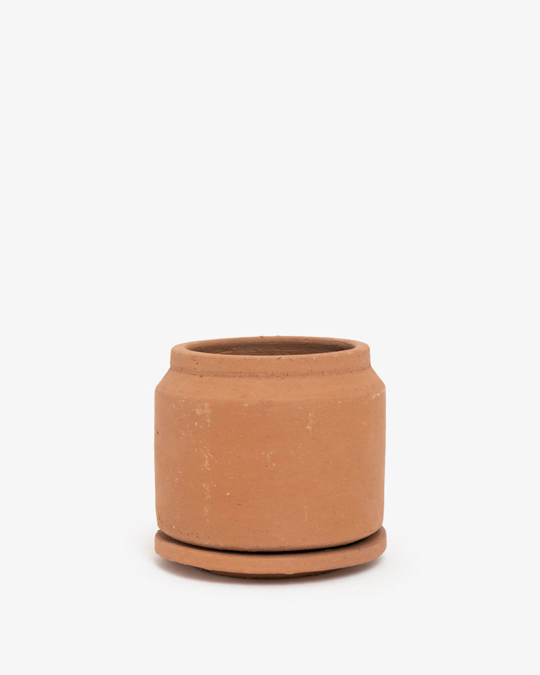 Cúmulo: Lecherita 10cm