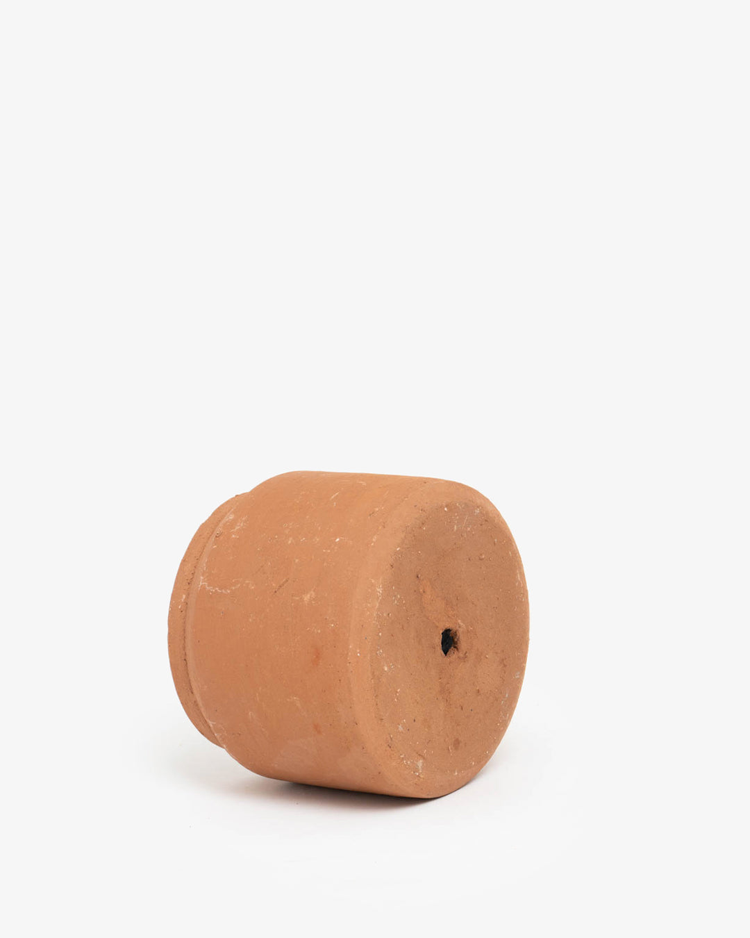 Cúmulo: Lecherita 10cm