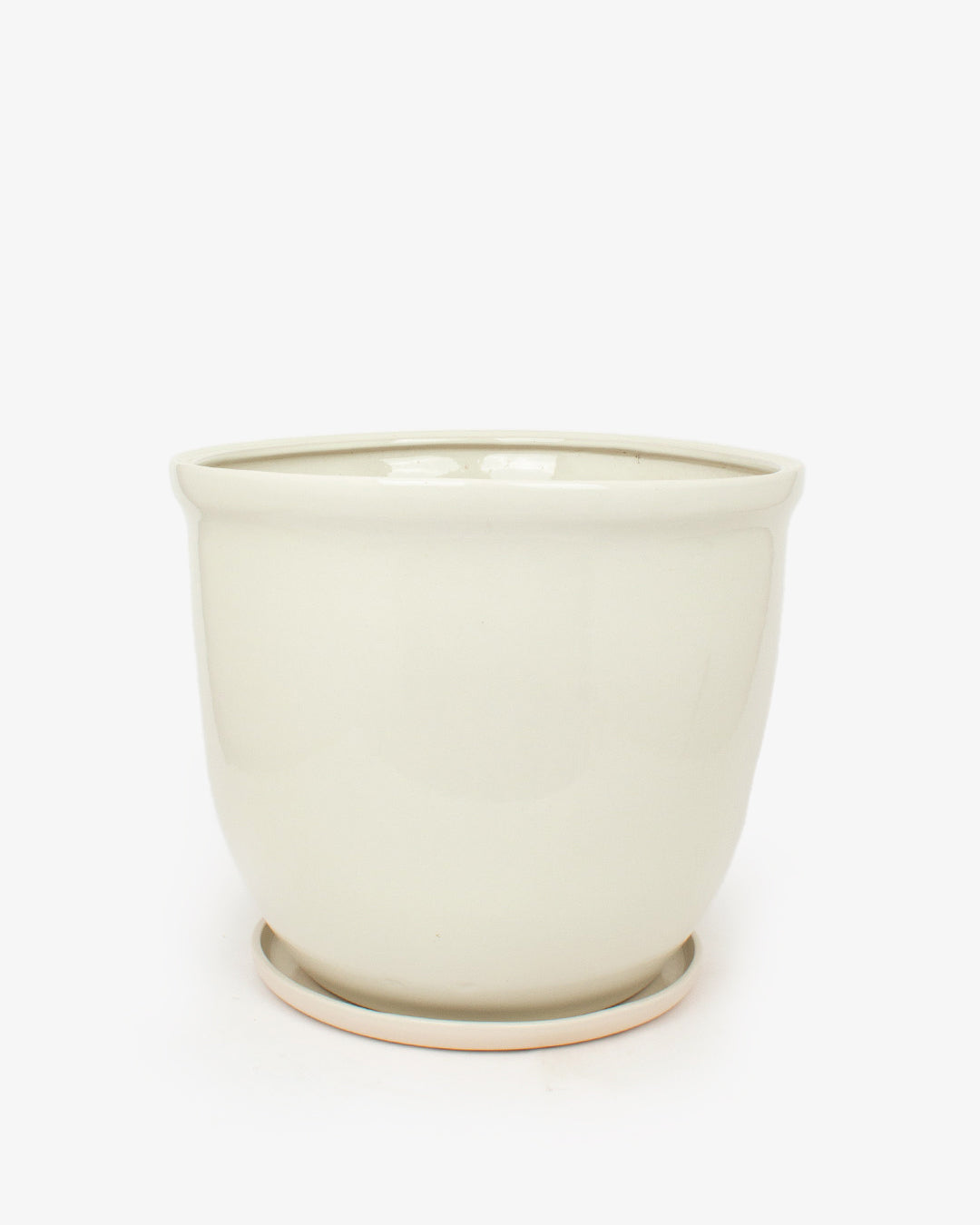 Blanco
48161251540162