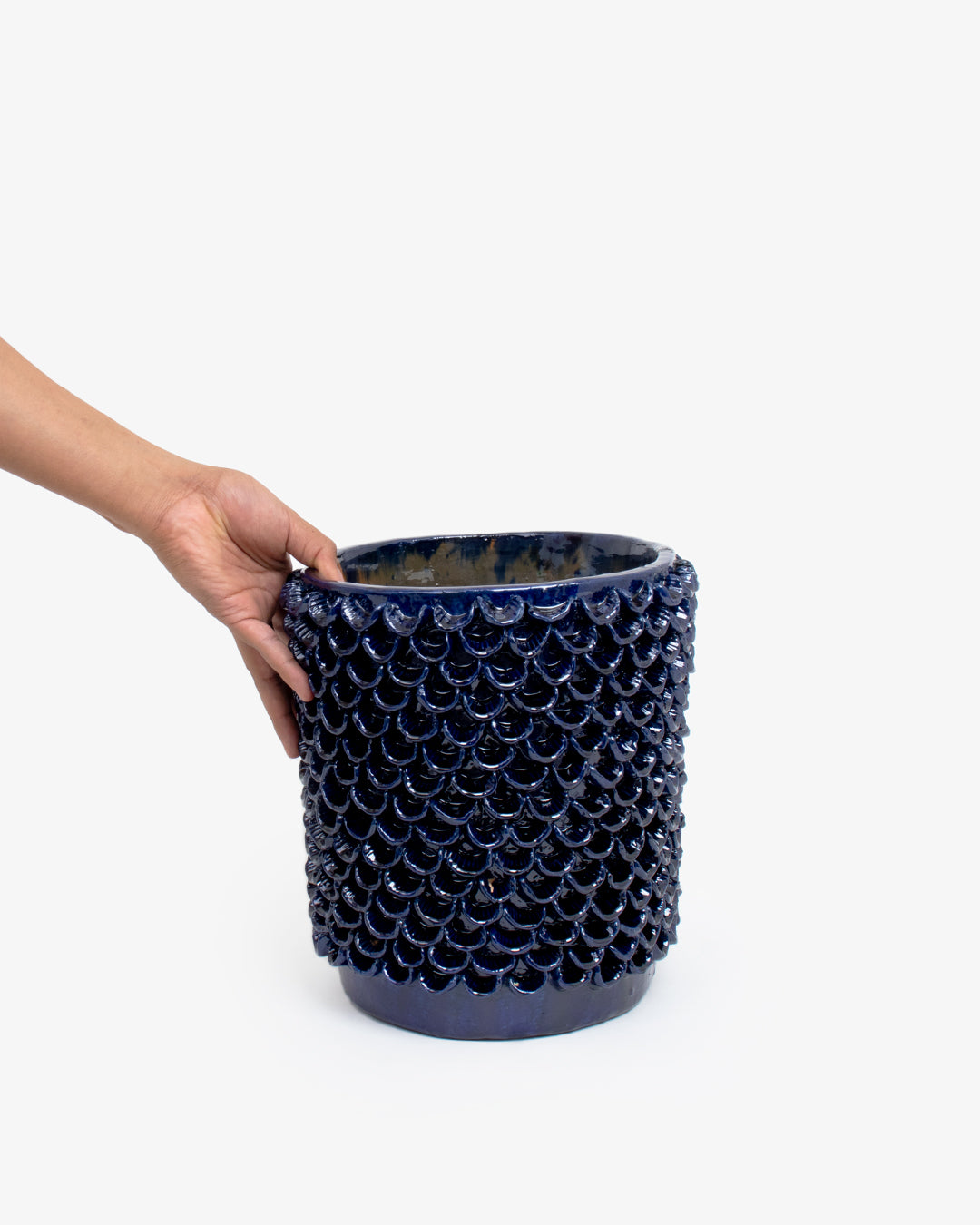 Hoja 02: 20cm