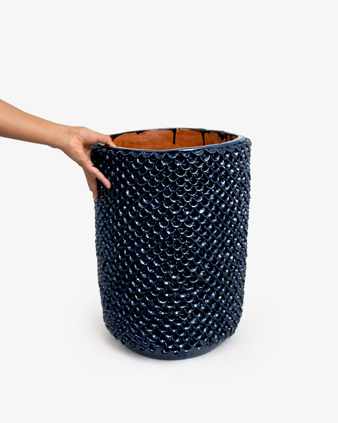 Hoja 04: 25 cm