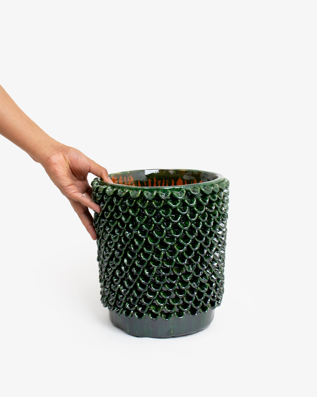 Hoja 02: 20cm