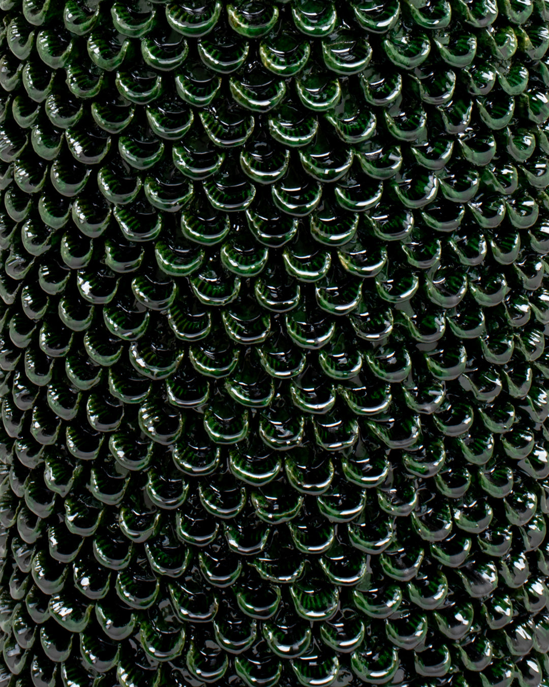 Hoja 03: 25 cm