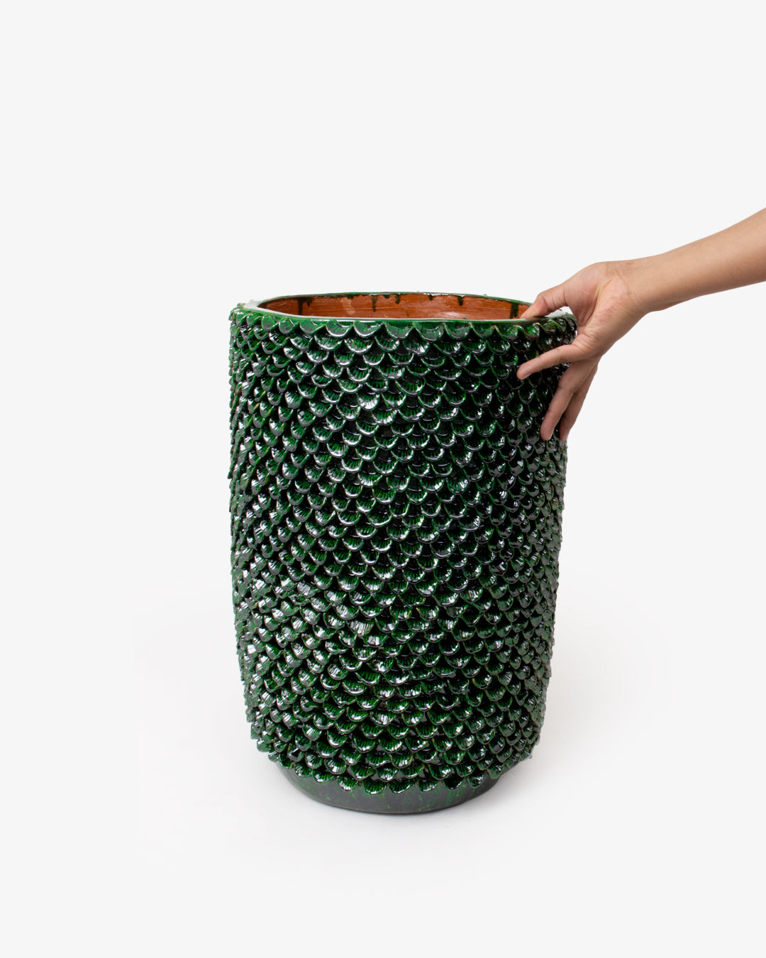 Hoja 04: 25 cm