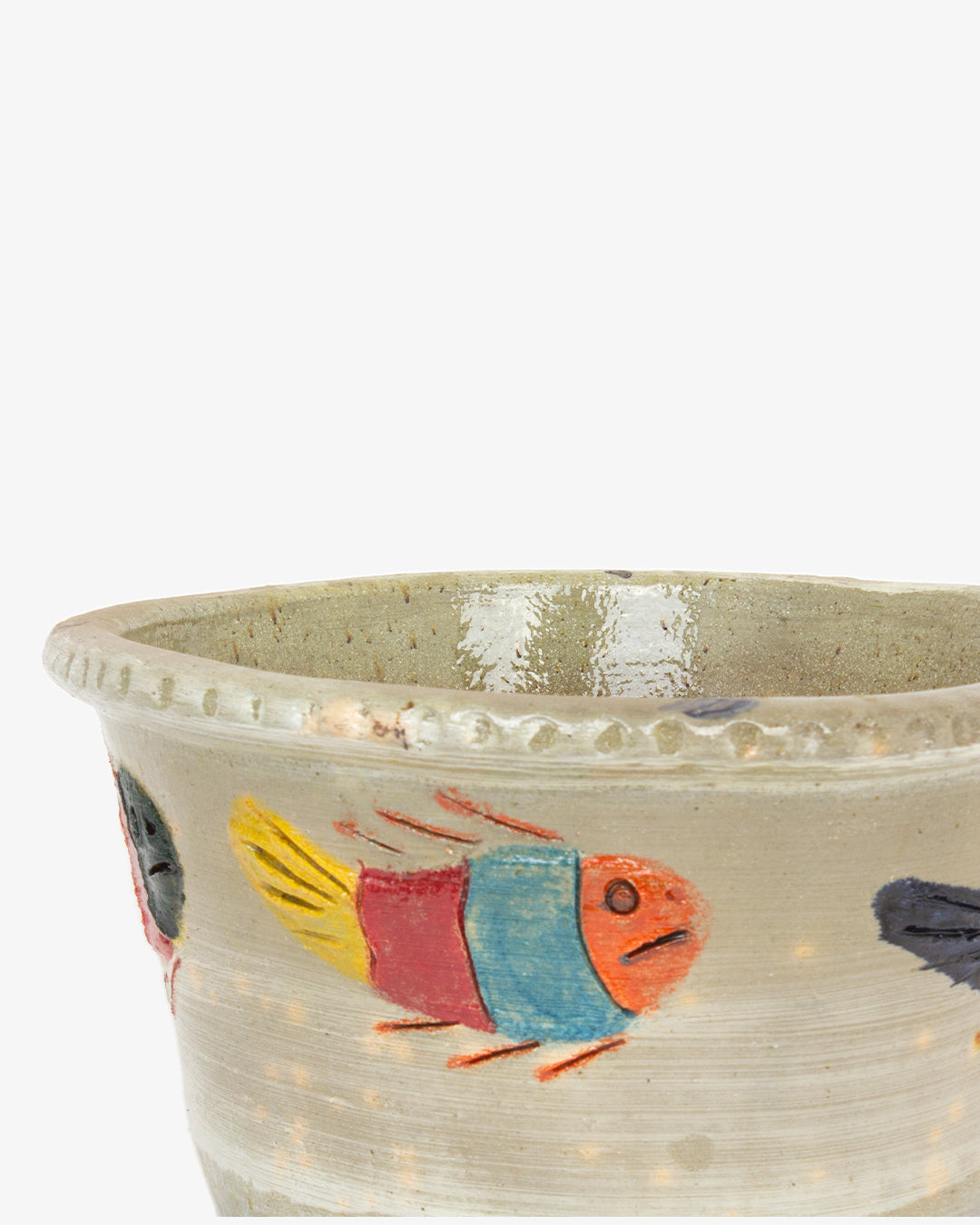 Peces Coloridos: 25cm