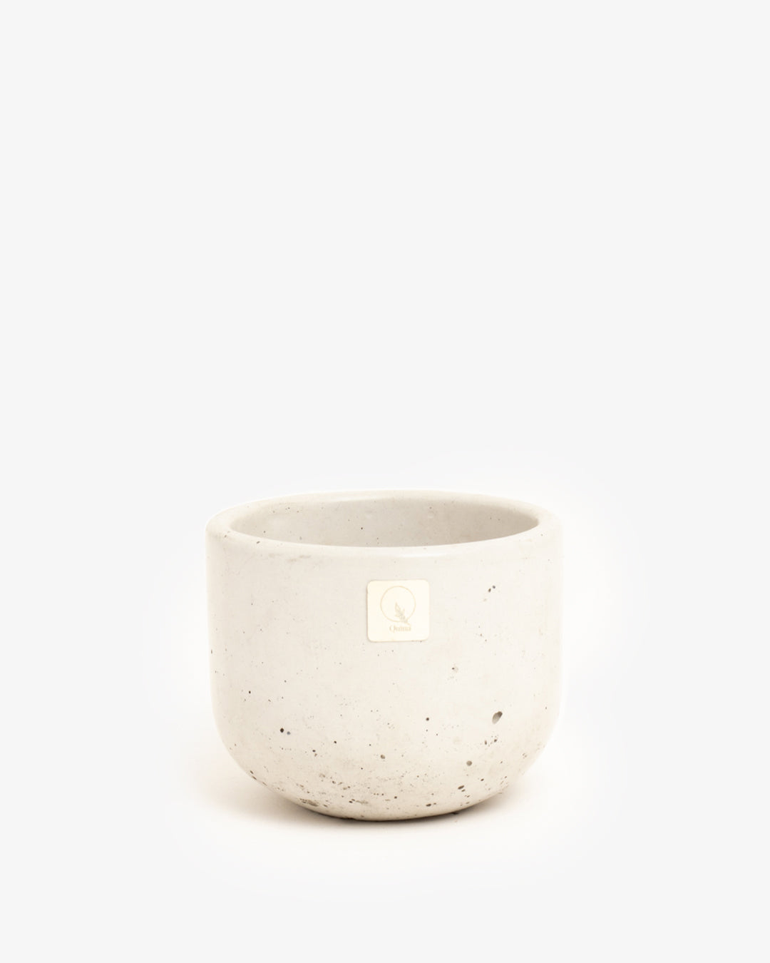 Quina: Cane 12cm