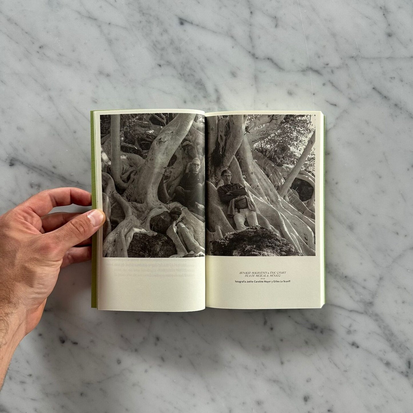 LIBRO: Manifiesto del jardín emocional