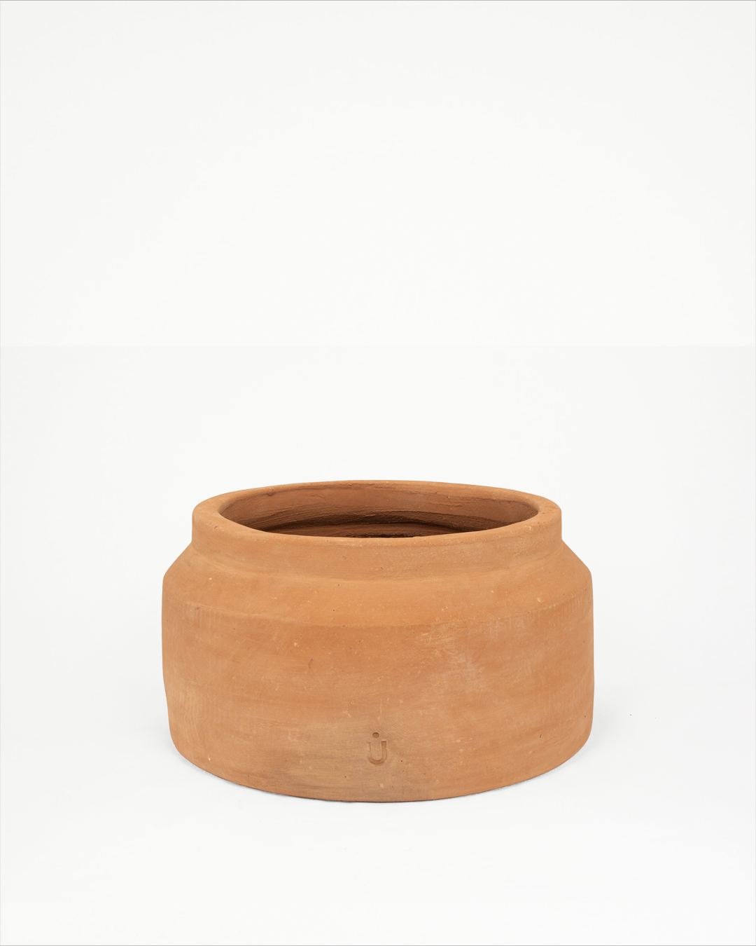 Cúmulo: Lechera Baja 35cm