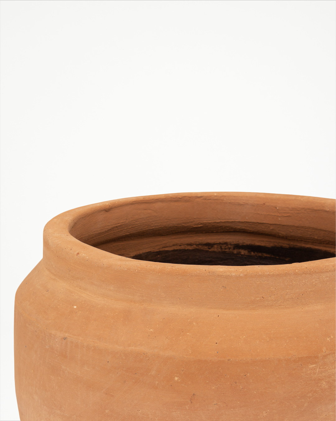 Cúmulo: Lechera Baja 35cm
