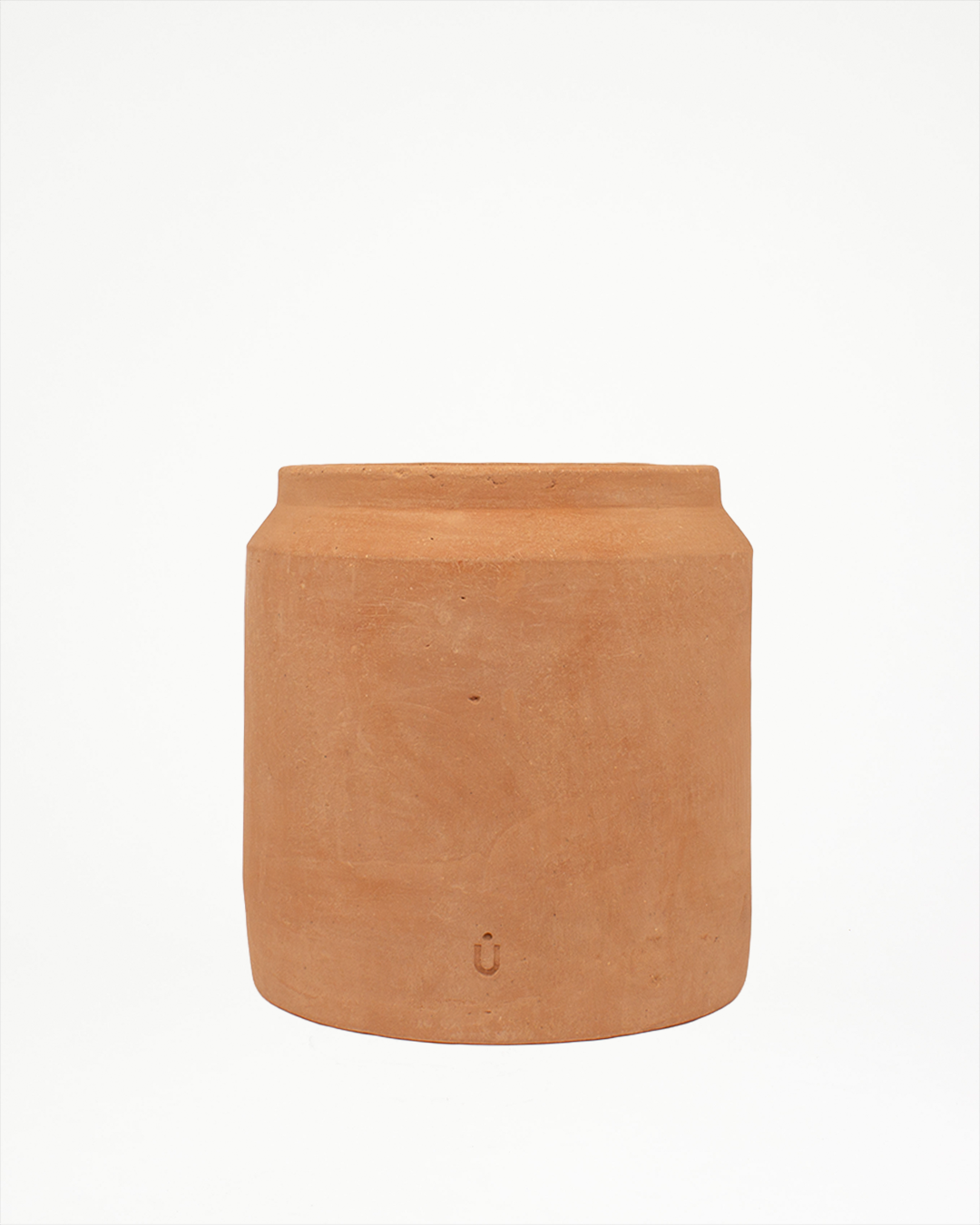Cúmulo: Lechera 32cm