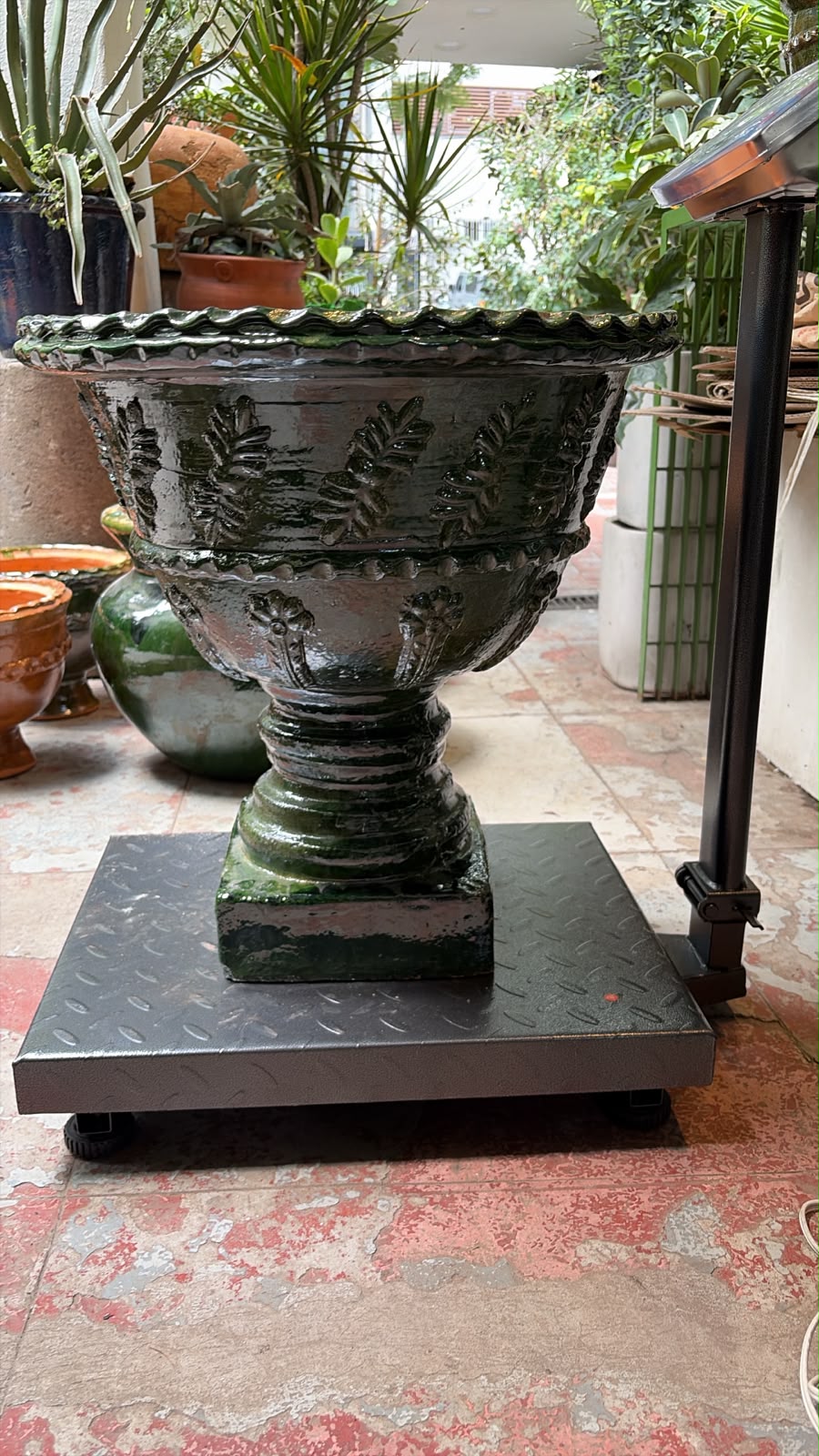 San Felipe: Copa Cuadrada Alta