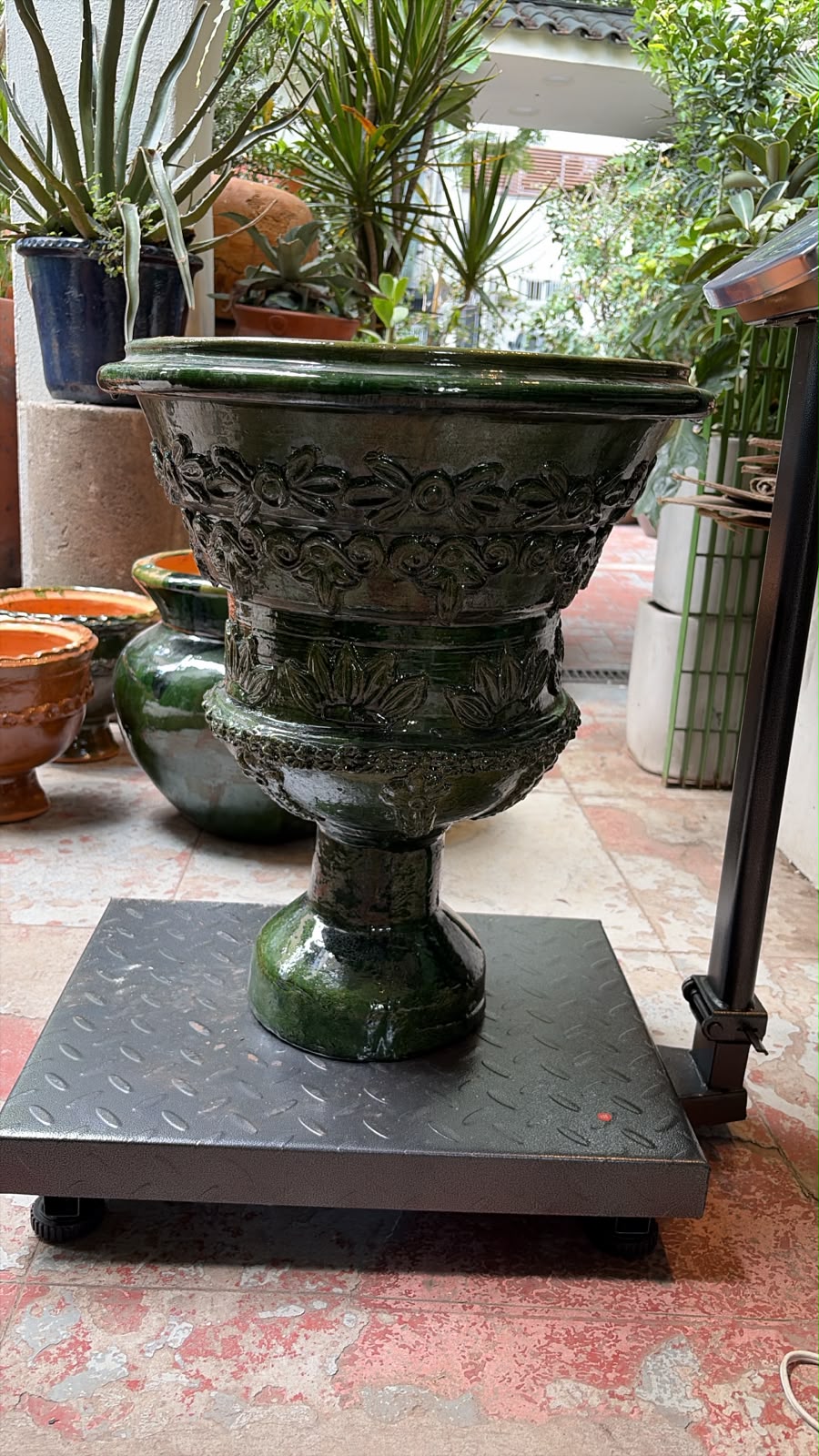 San Felipe: Copa Circular Alta