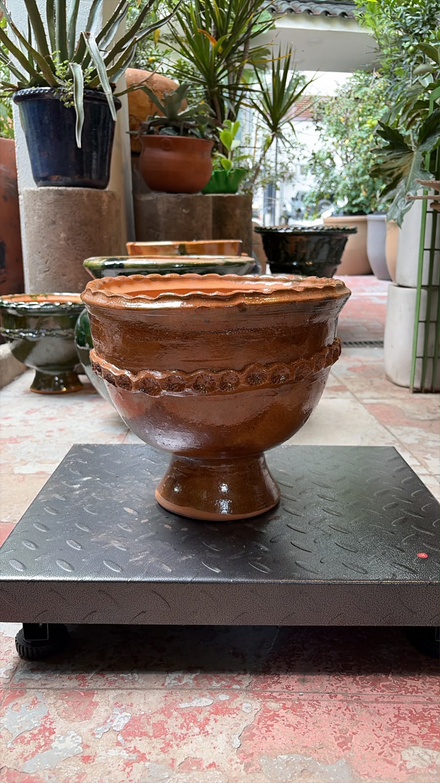San Felipe: Copa 30cm