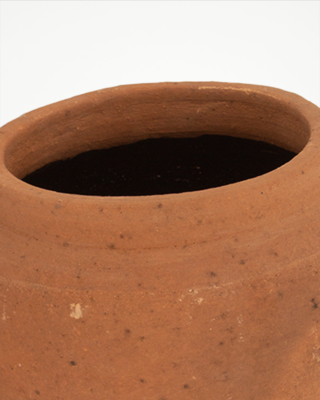 Cúmulo: Lecherita 10cm